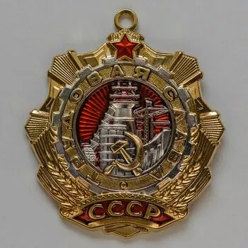 Орден Трудовой Славы №19